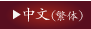 中文サイト2